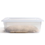 Brød & Taylor 6 Litre Proofing Container
