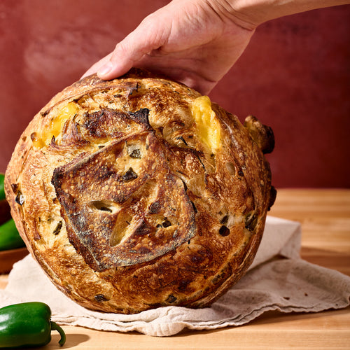 Cheddar Jalapeno Scallion Sourdough Bread Brod and Taylor Recipe